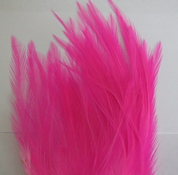 rooster saddle hot pink
